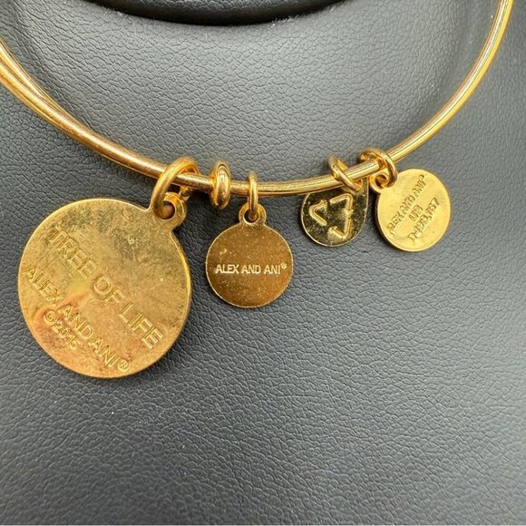 Alex and Ani Tree of Life 2015 Charm Bangle Bracelet - Picture 8 of 9